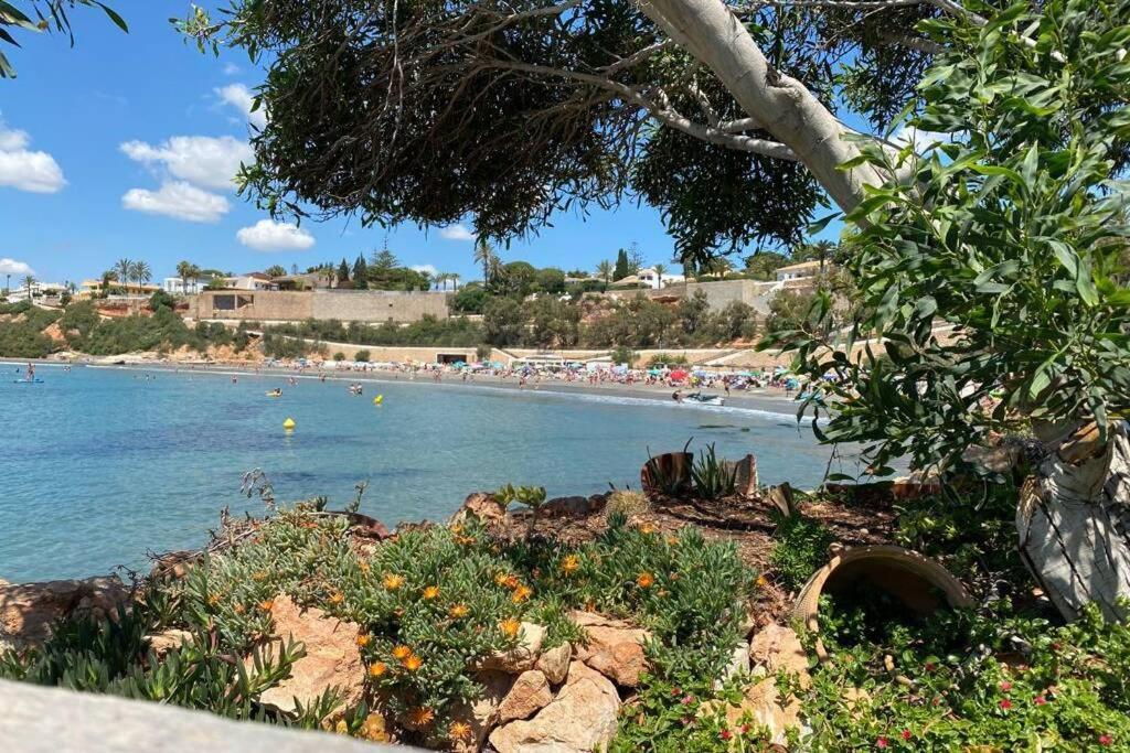Luxury Penthouse Oasis Beach VIII Orihuela Costa Punta Prima ตอร์เรเวียคา ภายนอก รูปภาพ